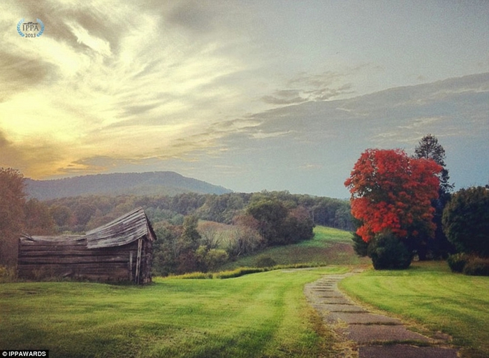 Победители конкурса фотографий, снятых на iPhone