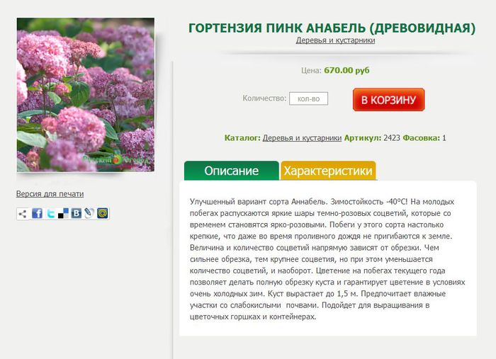 Ncsemena Ru Интернет Магазин Моя Корзина