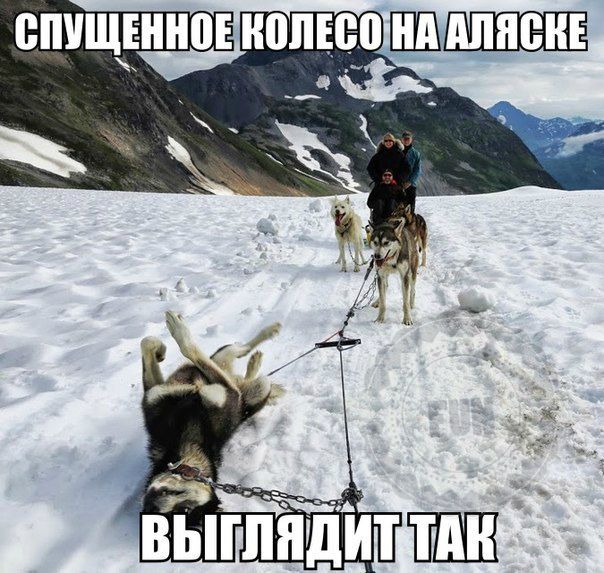 104405820_3344011_index_php4.jpg