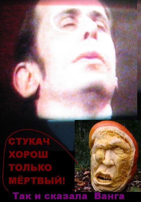 stukach_horosh_mertvi (487x694, 46Kb)