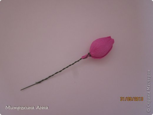 английская роза из конфет мастер-класс (9) (520x390, 36Kb)