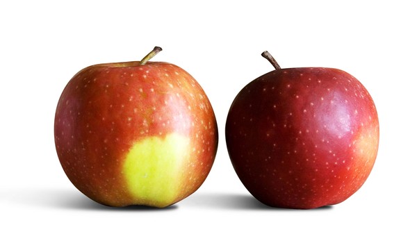 13 (577x360, 28Kb)