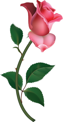 0_5db1e_d585a47a_L (259x500, 86Kb)