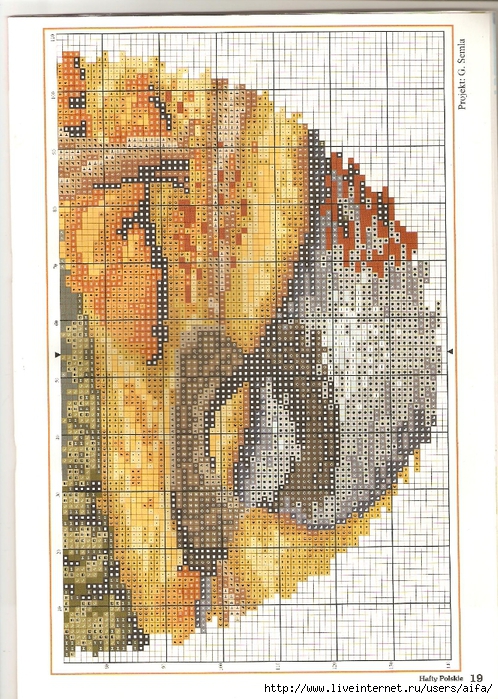 aifa (17) (498x700, 376Kb)