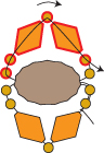 4170780_04jeweled (96x140, 16Kb)