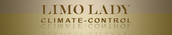 2971058_logo_1 (576x118, 33Kb)