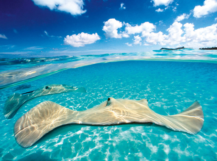 cayman-islands (700x521, 473Kb)