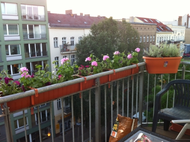 blumen-balkonkasten-gelaender-pflanzen-geranien (640x479, 233Kb)