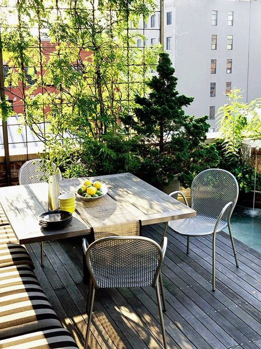 gestaltungsideen-balkon-und-dachterrasse-kletterpflanzen-patio-möbel-pool (525x700, 398Kb)