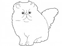 Cats_coloring_pages_Himalayan (200x150, 16Kb)