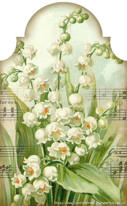 Lily of the Valley ~ music 3.2 x 5.2 tag 2 ~ lilac-n-lavender (430x700, 273Kb)