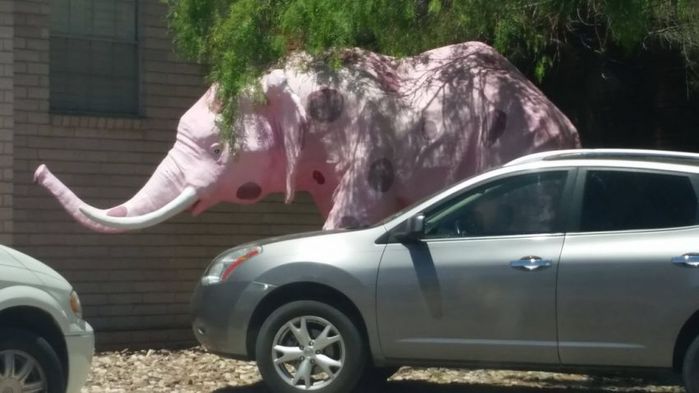 catsmob_daily_picdump_03944_056 (700x393, 41Kb)