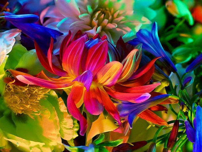electricblossom01-730x547 (700x524, 110Kb)