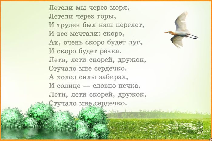 Стих и от птичьего Стих и от птичьего