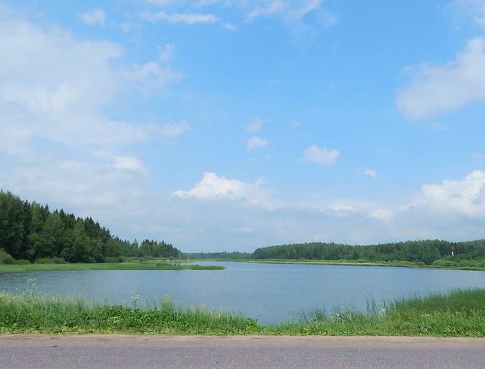 5488008_DSCN6637 (700x533, 86Kb)