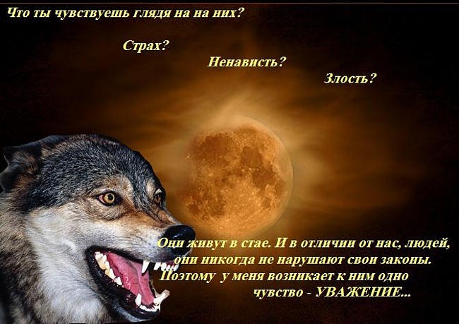 Картотека по рисованию на тему: раскраски по ПБ скачать бесплатно Лечебные китайские пластыри - ZBM Group