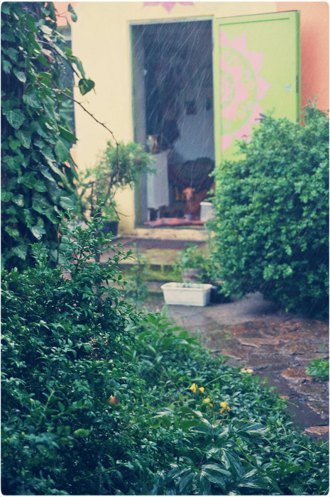 DSC01456 (465x700, 117Kb)