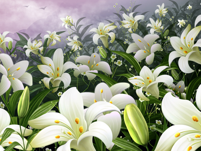 Drawn_wallpapers_The_field_of_white_flowers_013454_1 (700x525, 457Kb)