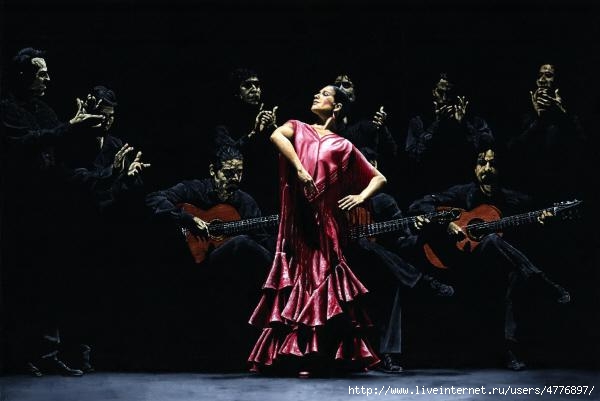 Bailarina orgullosa del flamenco (600x401, 79Kb)