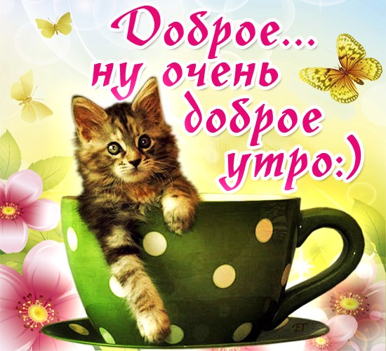 3768849__1_ (550x500, 75Kb)