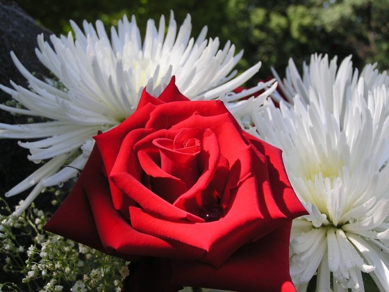 http://img0.liveinternet.ru/images/attach/c/0//42/257/42257948_36951888_PicsDesktop.jpg