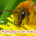  (150x150, 59Kb)