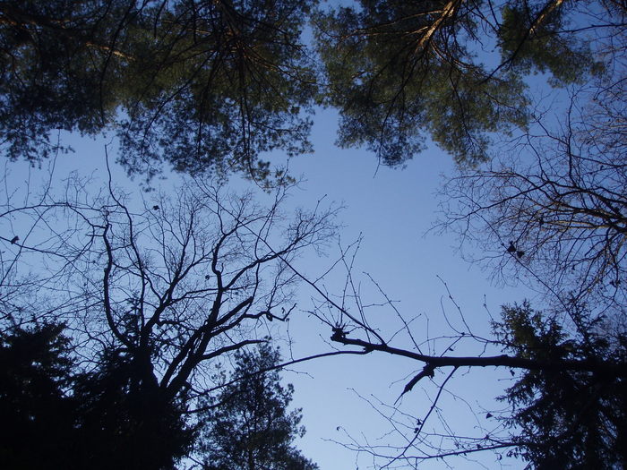  (700x525, 114Kb)