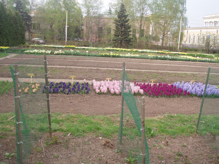  (700x525, 100Kb)