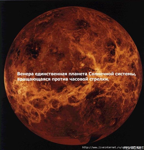 Всяко разно II (587x613, 64Kb)