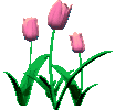  (104x100, 16Kb)