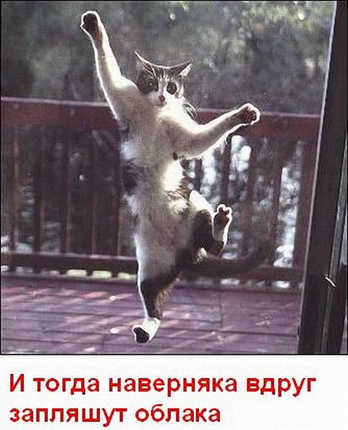 (500x618, 55Kb)