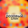 (100x100, 16Kb)