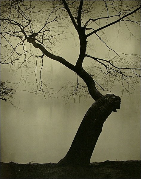 (473x600, 190Kb)