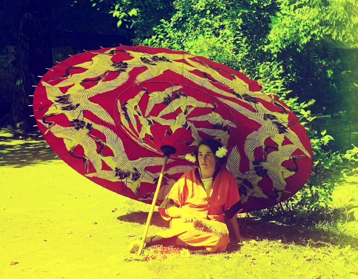 (700x546, 183Kb)