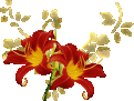  (121x91, 5Kb)