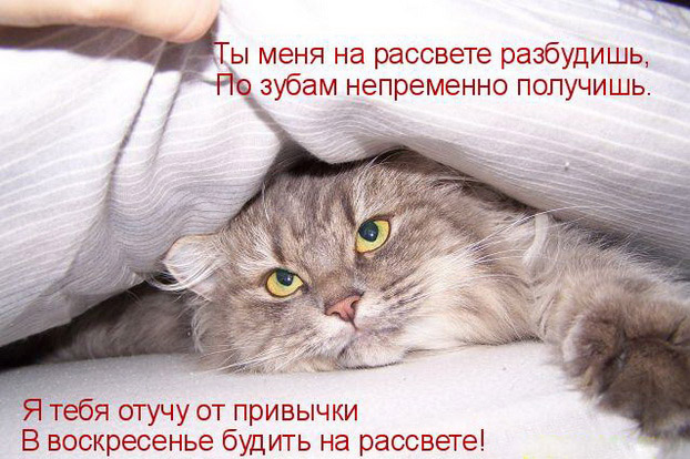 http://img0.liveinternet.ru/images/attach/c/0//46/735/46735925_1248535570_3c94c06974ff.jpg