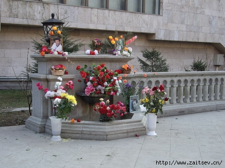 zaitsev.cn