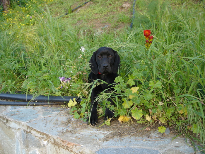 46896112_farm_016.JPG