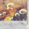  (100x100, 12Kb)