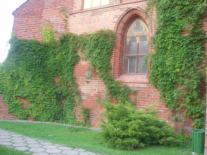  (700x525, 136Kb)