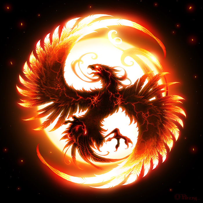  (700x700, 329Kb)
