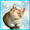  (100x100, 11Kb)