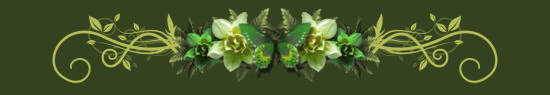  (183x33, 44Kb)