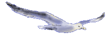  (220x72, 24Kb)