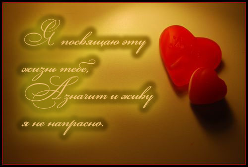 Порой мне жаль... Порой мне жаль...