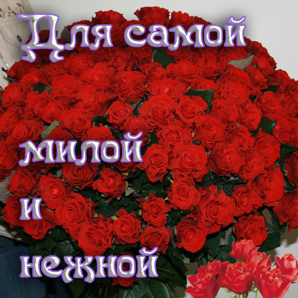 http://img0.liveinternet.ru/images/attach/c/0//52/199/52199421_49553808_49044856_i2630.jpg