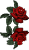  (59x99, 21Kb)