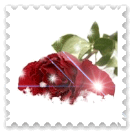  (192x192, 23Kb)