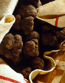 recipes--truffle (275x351, 87Kb)
