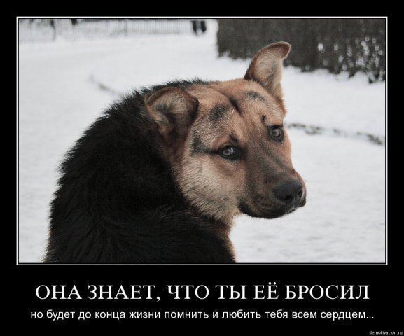 любовь такая любовь картинки любовь такая любовь картинки